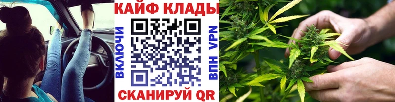 Магазины продажи наркотиков Борзя Alpha-PVP  Каннабис 
