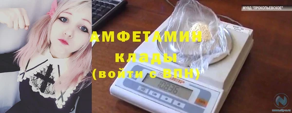 гидропоника Белокуриха