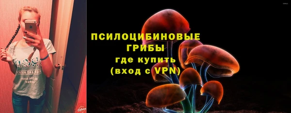 гидропоника Белокуриха