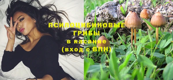 гидра Балабаново