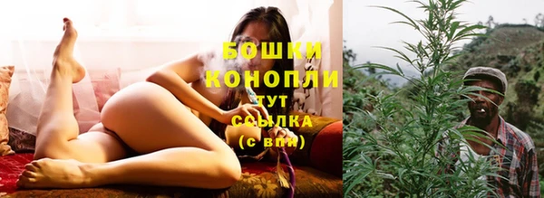 гидропоника Белокуриха