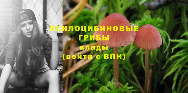 гидра Балабаново