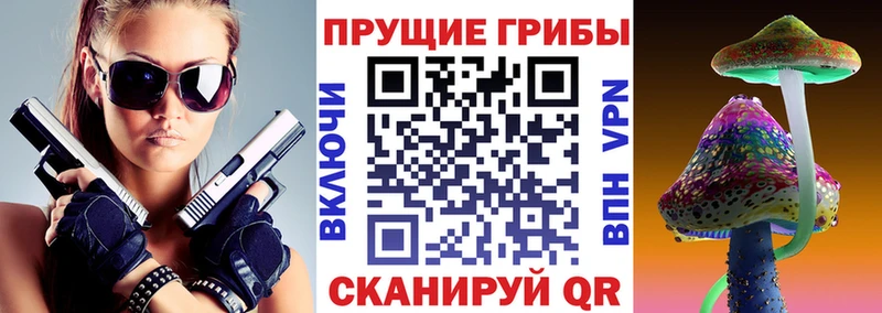 Псилоцибиновые грибы Psilocybine cubensis  MEGA ONION  Борзя 