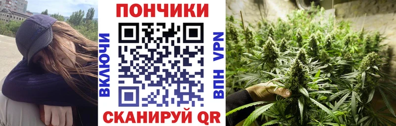Канабис SATIVA & INDICA  mega ССЫЛКА  Борзя 